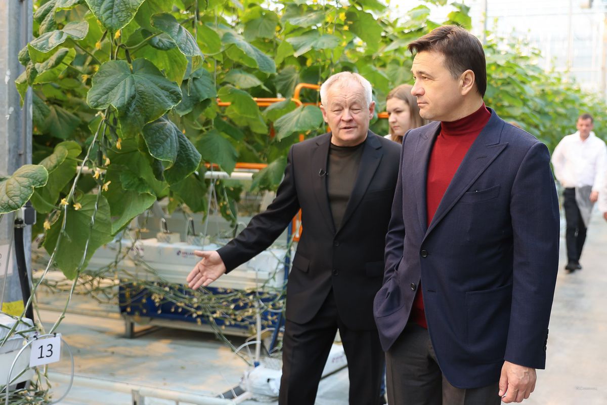 Андрей Воробьев губернатор московской области - Овощи без химикатов. В тепличном комплексе в Серпухове собрали первый урожай