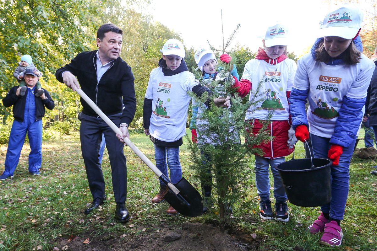 Андрей Воробьев губернатор московской области - Акция «Наш лес. Посади свое дерево» прошла в Подмосковье